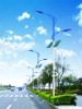 solar road light RR-SRL2D