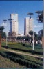 solar street lamp RR-SRL1G