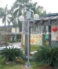 solar street light (SGL-03B)