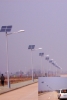 solar street light (SGL-08D)