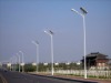 solar street/road light