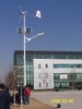 wind and solar hybird street light