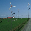 wind light complementary street light/wind and solar complementary street light/solar street light/wind & solar street light