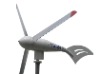 wind turbine (600W)